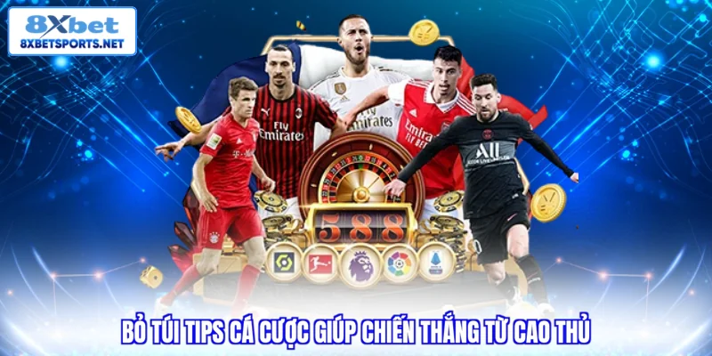 Cá Cược Bóng Đá 8XBET - Cách Đọc Kèo Cho Newbie 2026 Bỏ túi tips cá cược giúp chiến thắng từ cao thủ