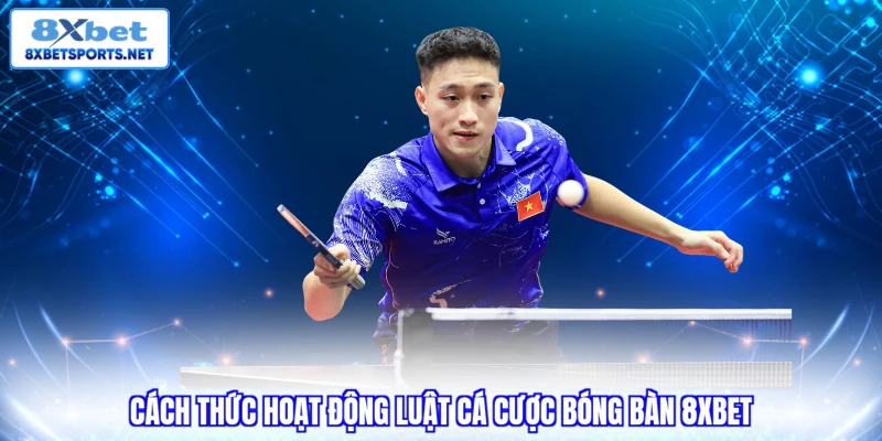 Cá Cược Bóng Bàn 8XBET - Luật Chơi Và Các Loại Kèo Cơ Bản Cách thức hoạt động luật cá cược bóng bàn 8XBET